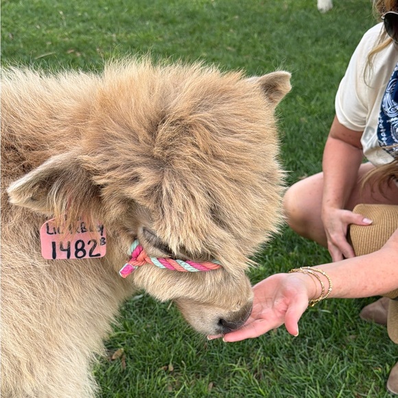 bilbo